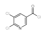 5,6-dichloropyridine-3-carbonyl chloride Structure