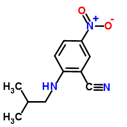 2-(Isobutylamino)-5-nitrobenzonitrile picture