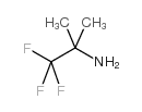 2,2,2-TRIFLUORO-1,1-DIMETHYL-ETHYLAMINE structure