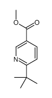 methyl 6-tert-butylpyridine-3-carboxylate Structure