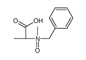 (2S)-N-benzyl-1-hydroxy-N-methyl-1-oxopropan-2-amine oxide结构式