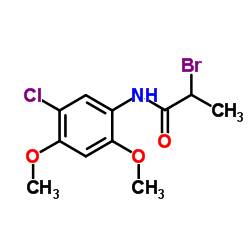 2-Bromo-N-(5-chloro-2,4-dimethoxyphenyl)propanamide结构式
