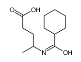 4-(cyclohexanecarbonylamino)pentanoic acid结构式