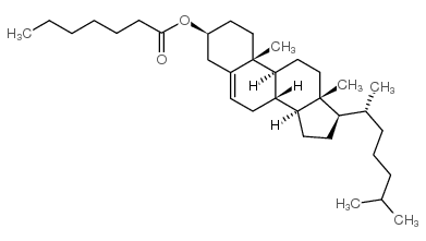 Cholesteryl heptanoate structure