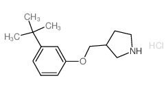 3-(tert-Butyl)phenyl 3-pyrrolidinylmethyl ether hydrochloride Structure