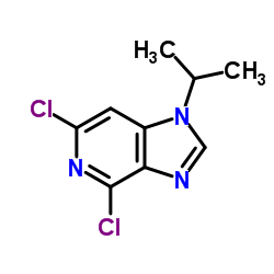 4,6-Dichloro-1-isopropyl-1H-imidazo[4,5-c]pyridine结构式
