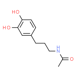 Acetamide, N-[3-(3,4-dihydroxyphenyl)propyl]- (9CI) structure