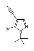 5-BROMO-1-TERT-BUTYL-1H-PYRAZOLE-4-CARBONITRILE picture