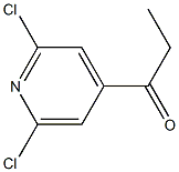 1-(2,6-dichloropyridin-4-yl)propan-1-one picture