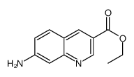 ethyl 7-aminoquinoline-3-carboxylate picture