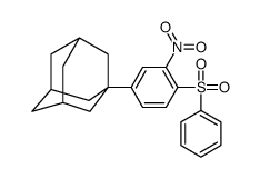 1-[3-Nitro-4-(phenylsulfonyl)phenyl]tricyclo[3.3.1.13,7]decane structure