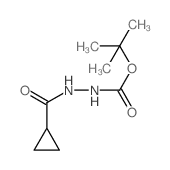 2-(环丙烷羰基)肼羧酸叔丁酯结构式