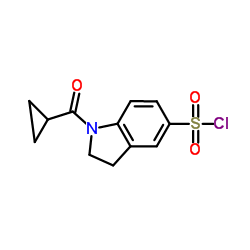 1-CYCLOPROPANECARBONYL-2,3-DIHYDRO-1H-INDOLE-5-SULFONYL CHLORIDE structure