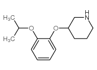 3-(2-Isopropoxyphenoxy)piperidine Structure