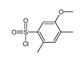 5-methoxy-2,4-dimethylbenzenesulfonyl chloride(SALTDATA: FREE)结构式