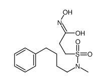 N-hydroxy-3-[methyl(4-phenylbutyl)sulfamoyl]propanamide结构式