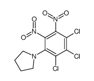 1-(2,3,4-Trichloro-5,6-dinitro-phenyl)-pyrrolidine结构式