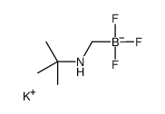 Potassium (t-butylaminomethyl)trifluoroborate Structure