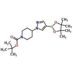 TERT-BUTYL 4-(4-(4,4,5,5-TETRAMETHYL-1,3,2-DIOXABOROLAN-2-YL)-1H-PYRAZOL-1-YL)PIPERIDINE-1-CARBOXYLATE结构式