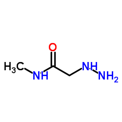 2-Hydrazino-N-methylacetamide Structure