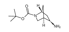 (1R,4R,5R)-tert-butyl 5-amino-2-azabicyclo[2.2.1]heptane-2-carboxylate结构式