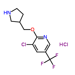 3-Chloro-2-(3-pyrrolidinylmethoxy)-5-(trifluoromethyl)pyridine hydrochloride (1:1) picture