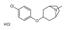3-(4-Chlorophenoxy)-8-methyl-8-azabicyclo[3.2.1]octane hydrochlor ide (1:1) Structure
