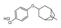 3-(4-chlorophenoxy)-8-methyl-8-azabicyclo[3.2.1]octane,hydrochloride Structure