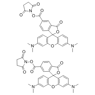 5(6)-TAMRA, SE [5-(and-6)-Carboxytetramethylrhodamine, succinimidyl ester] structure