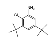 3,5-di-tert-butyl-2-chloroaniline Structure