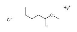 chloro(2-methoxyhexyl)mercury Structure