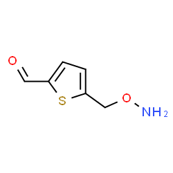2-Thiophenecarboxaldehyde, 5-[(aminooxy)methyl]- (9CI) picture