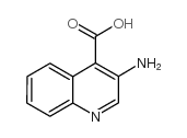 3-Aminoquinoline-4-carboxylic acid Structure