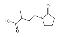 γ-(N-2-oxopyrrolidinyl)-α-methylbutyric acid Structure