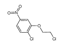 1-chloro-2-(2-chloro-ethoxy)-4-nitrobenzene Structure