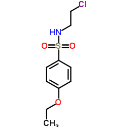 N-(2-Chloroethyl)-4-ethoxybenzenesulfonamide Structure