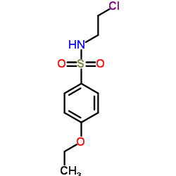 N-(2-Chloroethyl)-4-ethoxybenzenesulfonamide结构式