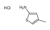 4-甲基噻吩-2-胺盐酸盐结构式