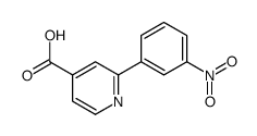 2-(3-nitrophenyl)pyridine-4-carboxylic acid结构式