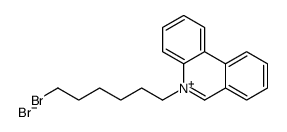 5-(6-bromohexyl)phenanthridin-5-ium,bromide Structure