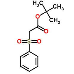 2-Methyl-2-propanyl (phenylsulfonyl)acetate Structure