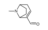 8-Azabicyclo[3.2.1]oct-2-ene-2-carboxaldehyde, 8-methyl- (9CI)结构式