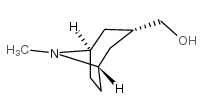 endo-(8-Methyl-8-azabicyclo[3.2.1]octan-3-yl)methanol picture