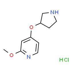 2-Methoxy-4-(pyrrolidin-3-yloxy)pyridine hydrochloride picture