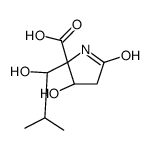 (2R,3S)-3-hydroxy-2-[(1S)-1-hydroxy-2-methylpropyl]-5-oxopyrrolidine-2-carboxylic acid结构式