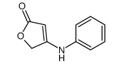 4-anilinofuran-2(5H)-one picture