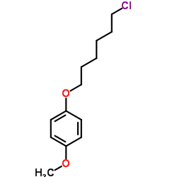 1-[(6-Chlorohexyl)oxy]-4-methoxybenzene Structure