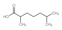 2,6-dimethyl c7:0 fatty acid结构式