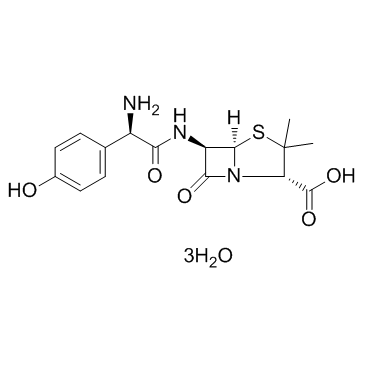 Amoxicillin Trihydrate Structure