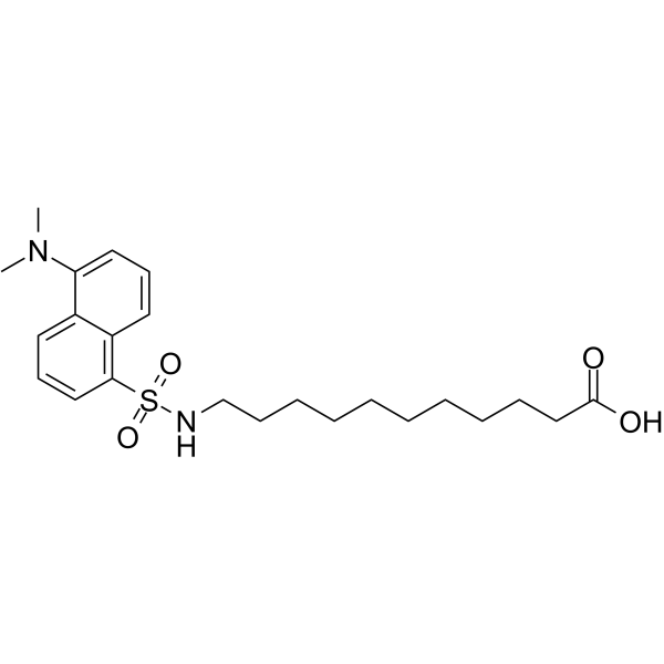 DAUDA Structure